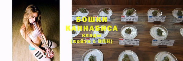 крисы Армянск