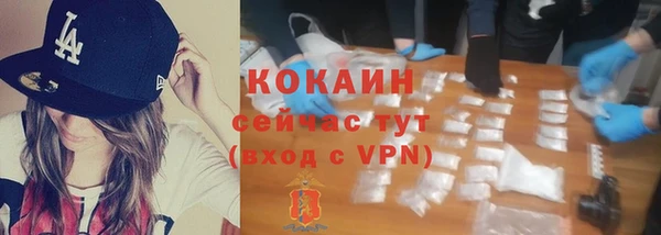 крисы Армянск