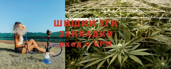 бошки Аркадак