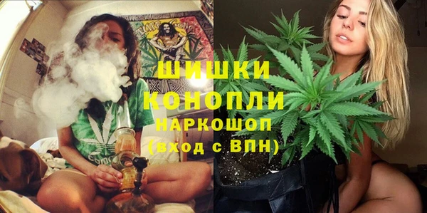 крисы Армянск
