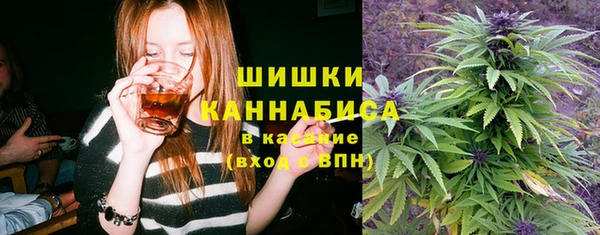 крисы Армянск