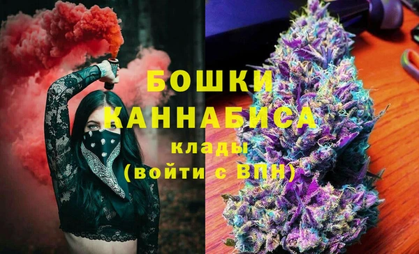 крисы Армянск