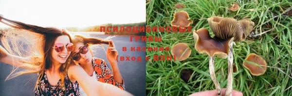 бошки Аркадак