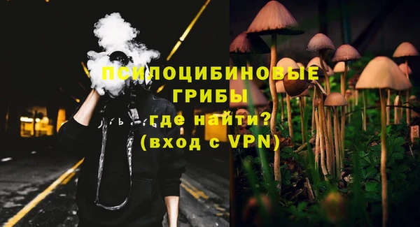 крисы Армянск