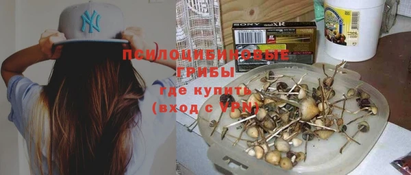 бошки Аркадак