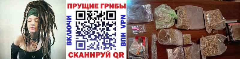Псилоцибиновые грибы MAGIC MUSHROOMS купить наркоту Правдинск